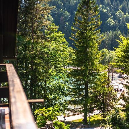 Willa House Moose'T Getaway, Kranjska Gora Zewnętrze zdjęcie