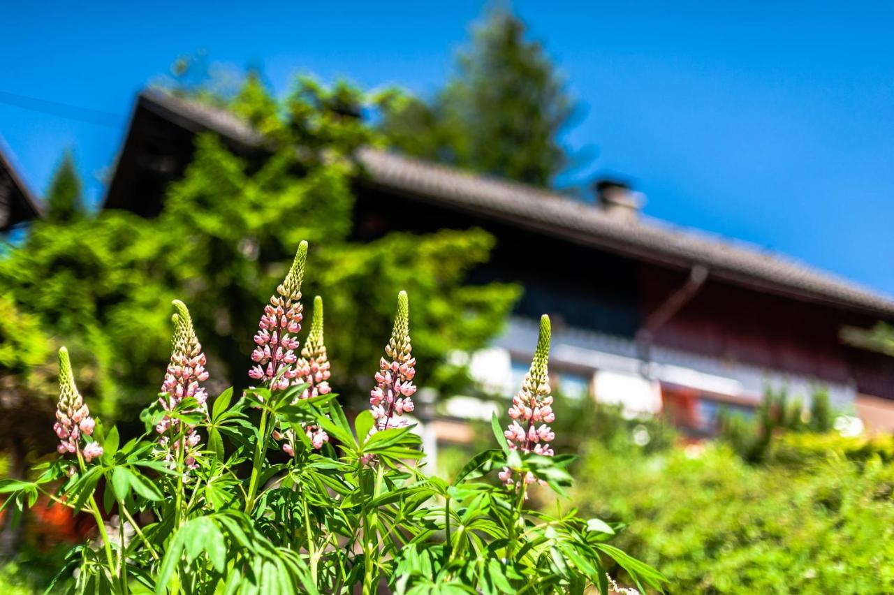 Willa House Moose'T Getaway, Kranjska Gora Zewnętrze zdjęcie