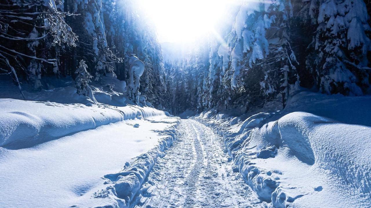 Willa House Moose'T Getaway, Kranjska Gora Zewnętrze zdjęcie