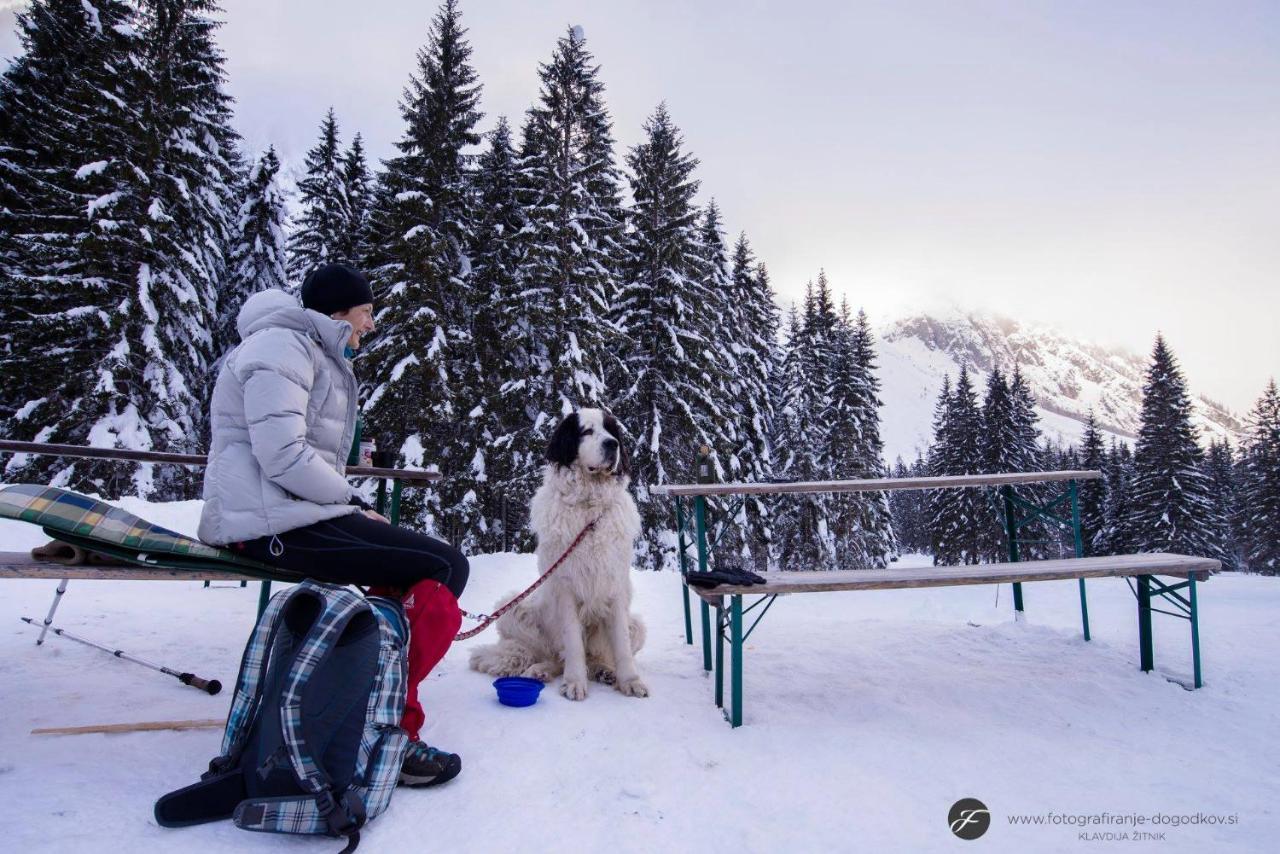 Willa House Moose'T Getaway, Kranjska Gora Zewnętrze zdjęcie