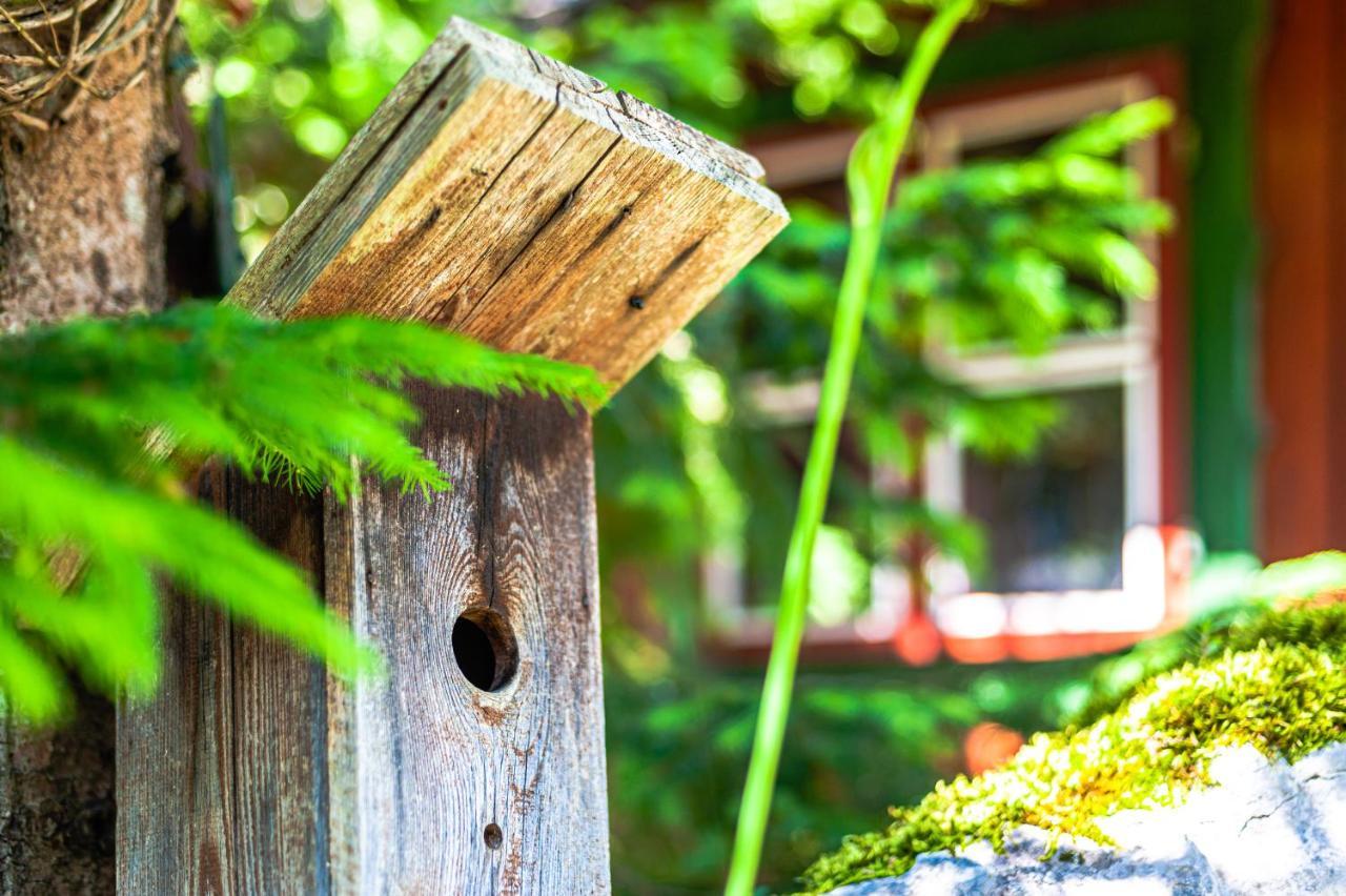 Willa House Moose'T Getaway, Kranjska Gora Zewnętrze zdjęcie